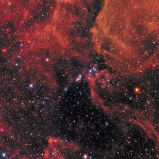 New research suggests at least two mass extinction events in Earth's history were caused by a nearby supernova. Pictured is an example of one of these stellar explosions, Supernova 1987a (centre), within a neighbouring galaxy to our Milky Way called the Large Magellanic Cloud.