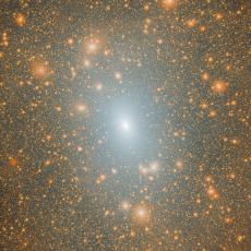 The dark matter distribution of a Milky Way mass halo in a Lambda-cold dark matter (LCDM) cosmological simulation.
