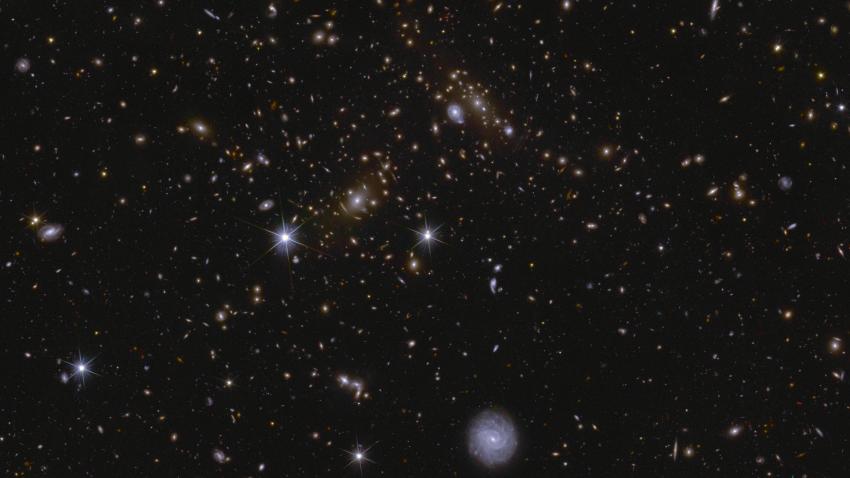Euclid